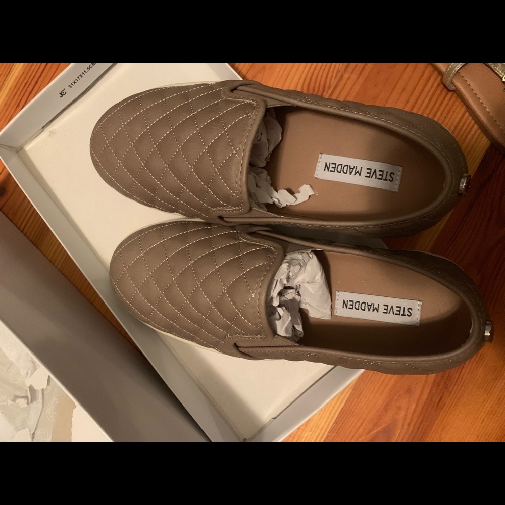 Steve Madden Ecentrcq